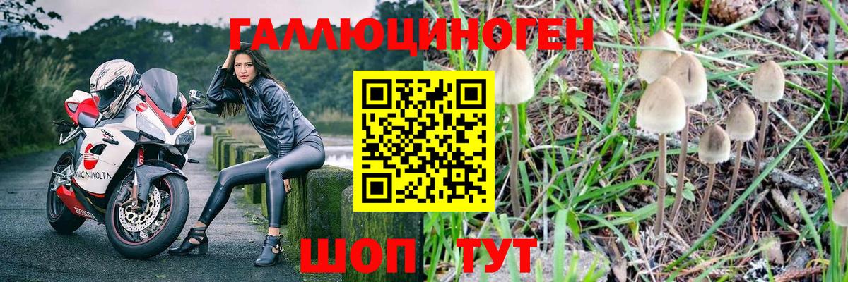 Псилоцибиновые грибы прущие грибы Северобайкальск